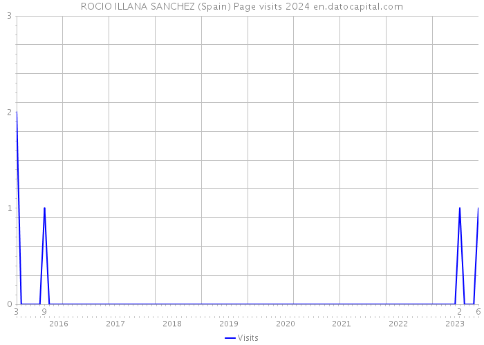 ROCIO ILLANA SANCHEZ (Spain) Page visits 2024 