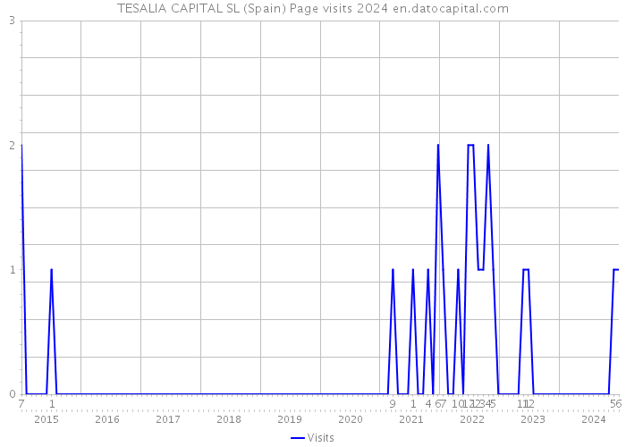 TESALIA CAPITAL SL (Spain) Page visits 2024 