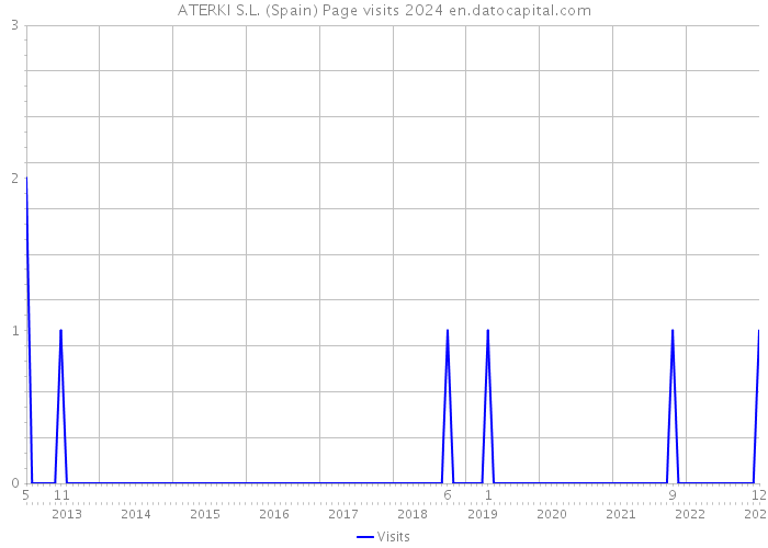 ATERKI S.L. (Spain) Page visits 2024 