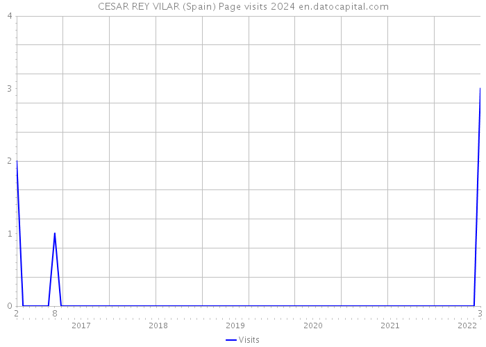 CESAR REY VILAR (Spain) Page visits 2024 