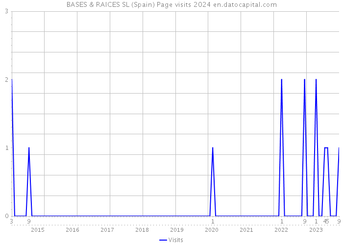 BASES & RAICES SL (Spain) Page visits 2024 