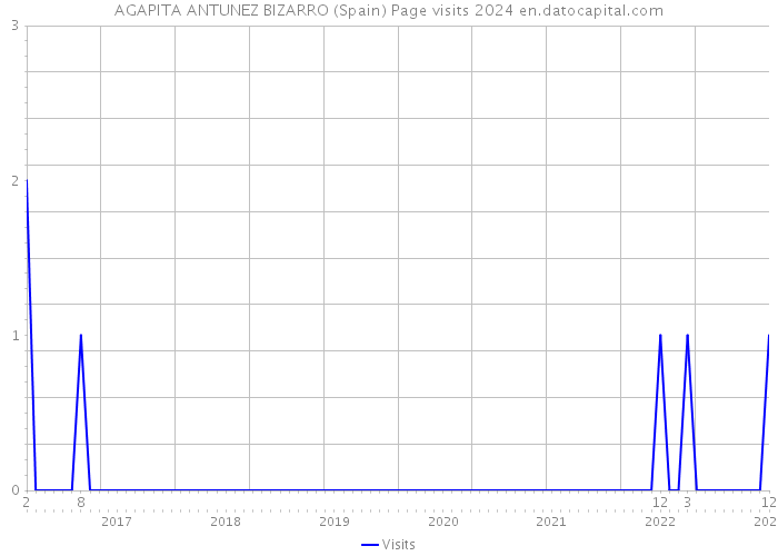 AGAPITA ANTUNEZ BIZARRO (Spain) Page visits 2024 