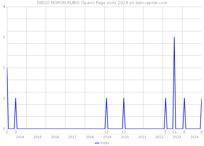 DIEGO MORON RUBIO (Spain) Page visits 2024 