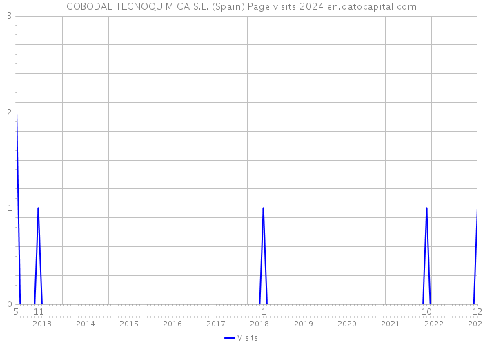COBODAL TECNOQUIMICA S.L. (Spain) Page visits 2024 