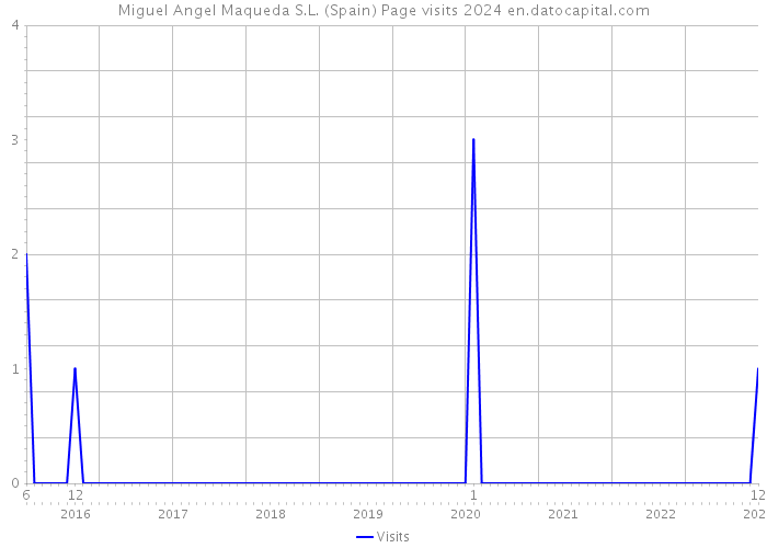 Miguel Angel Maqueda S.L. (Spain) Page visits 2024 
