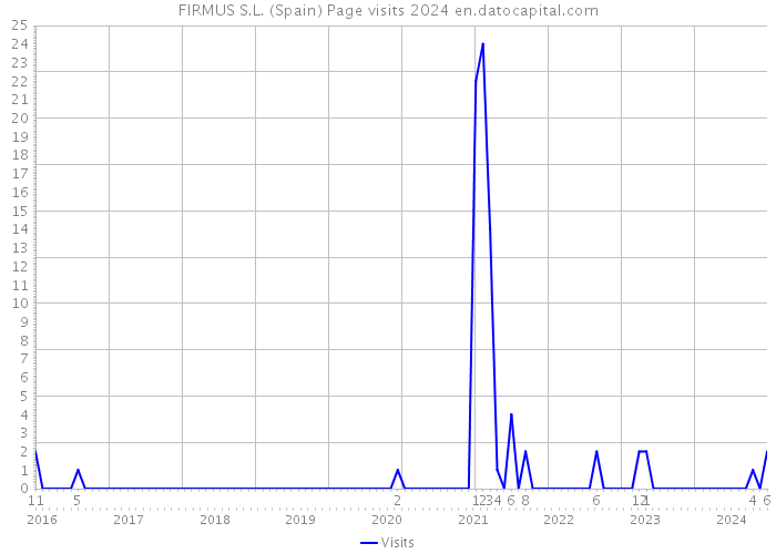 FIRMUS S.L. (Spain) Page visits 2024 