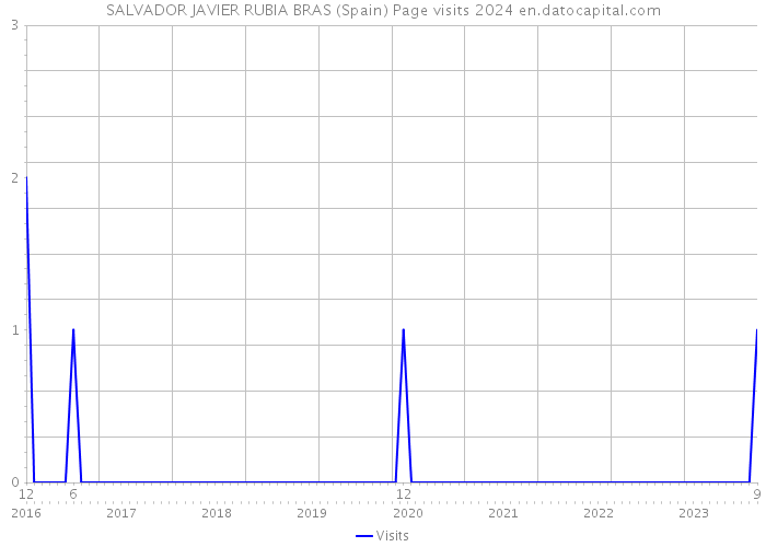SALVADOR JAVIER RUBIA BRAS (Spain) Page visits 2024 