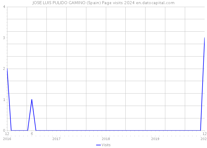 JOSE LUIS PULIDO GAMINO (Spain) Page visits 2024 