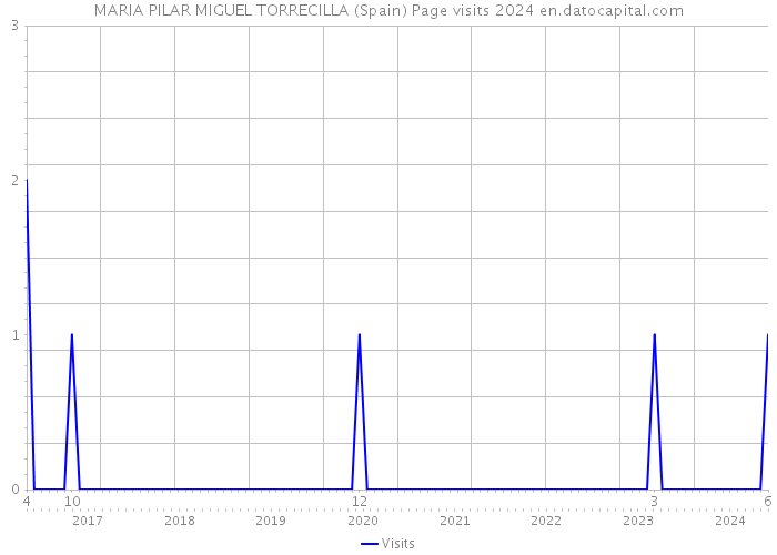 MARIA PILAR MIGUEL TORRECILLA (Spain) Page visits 2024 