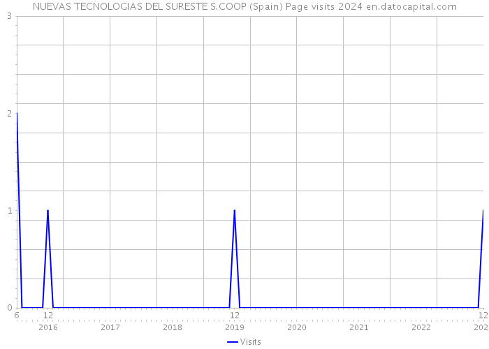 NUEVAS TECNOLOGIAS DEL SURESTE S.COOP (Spain) Page visits 2024 