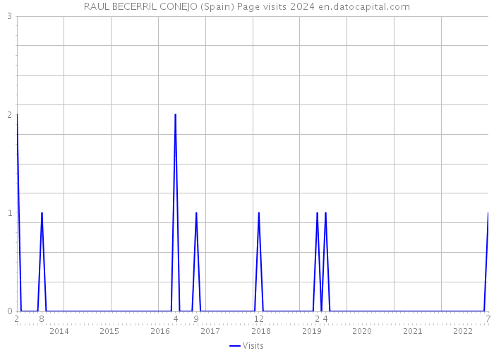 RAUL BECERRIL CONEJO (Spain) Page visits 2024 