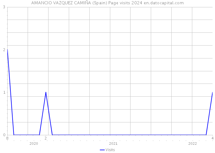 AMANCIO VAZQUEZ CAMIÑA (Spain) Page visits 2024 