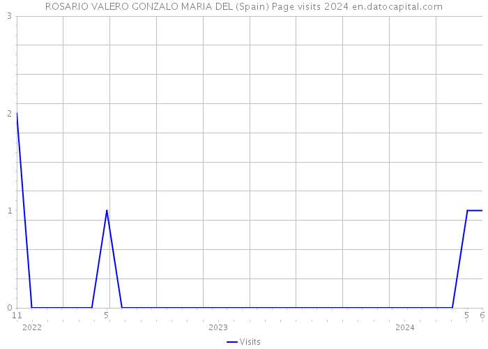 ROSARIO VALERO GONZALO MARIA DEL (Spain) Page visits 2024 