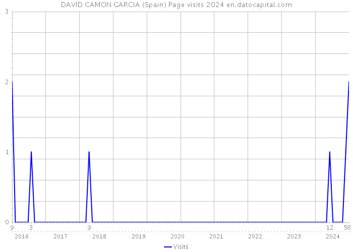 DAVID CAMON GARCIA (Spain) Page visits 2024 