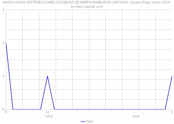HANOI HANOI DISTRIBUCIONES SOCIEDAD DE RESPONSABILIDAD LIMITADA (Spain) Page visits 2024 