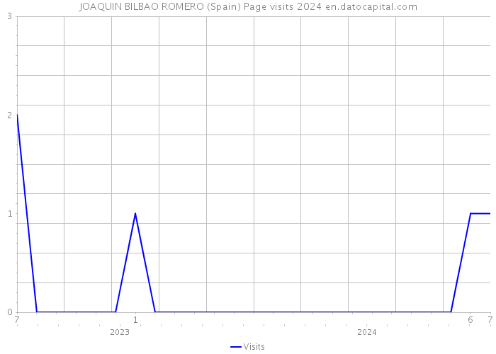 JOAQUIN BILBAO ROMERO (Spain) Page visits 2024 