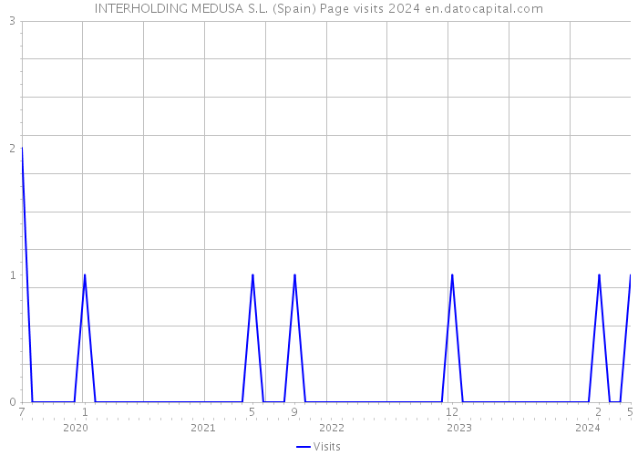 INTERHOLDING MEDUSA S.L. (Spain) Page visits 2024 