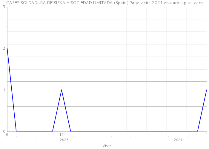 GASES SOLDADURA DE BIZKAIA SOCIEDAD LIMITADA (Spain) Page visits 2024 