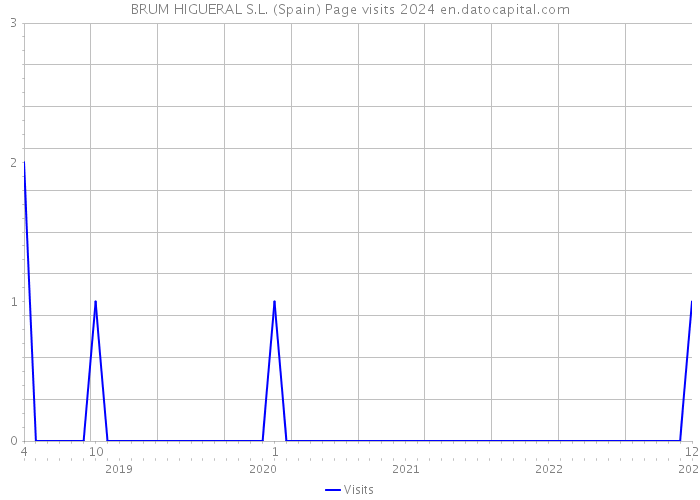 BRUM HIGUERAL S.L. (Spain) Page visits 2024 