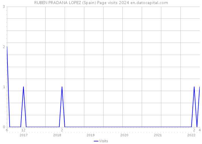 RUBEN PRADANA LOPEZ (Spain) Page visits 2024 