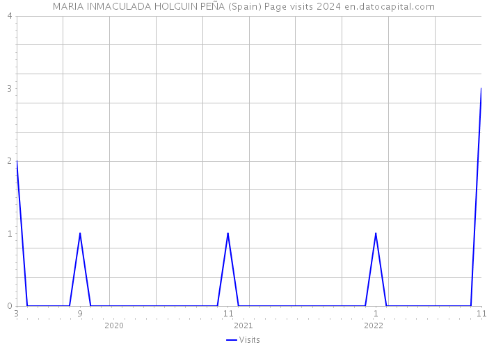 MARIA INMACULADA HOLGUIN PEÑA (Spain) Page visits 2024 