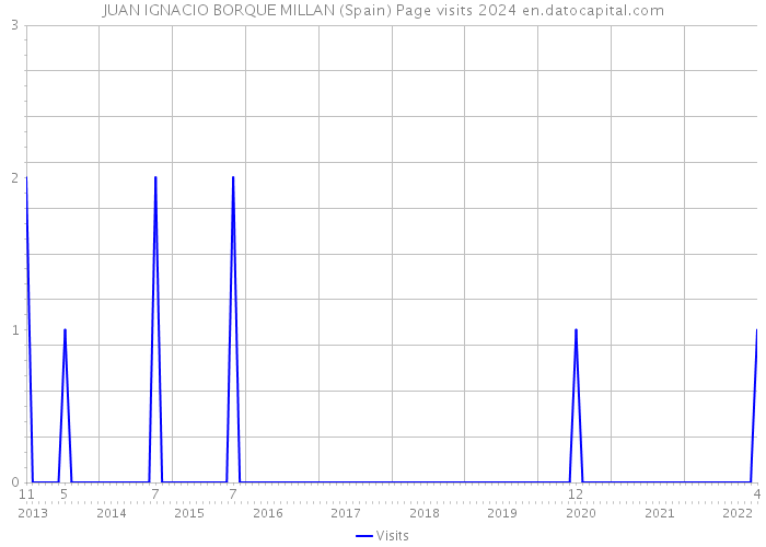 JUAN IGNACIO BORQUE MILLAN (Spain) Page visits 2024 