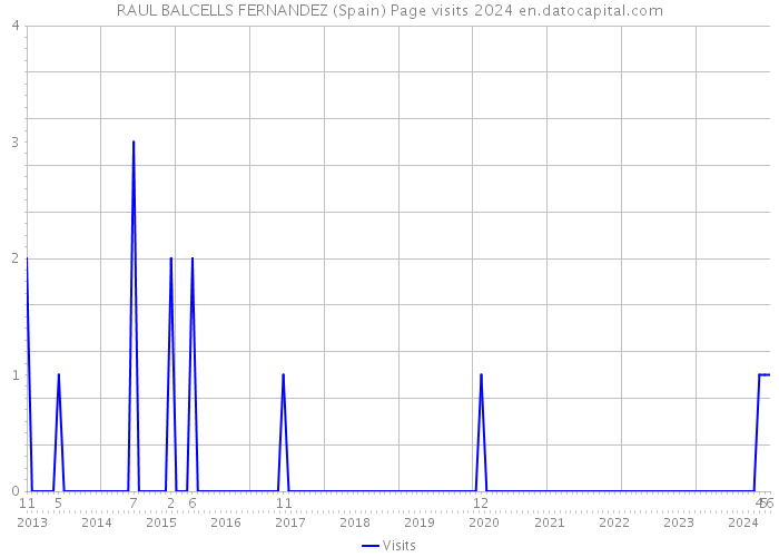 RAUL BALCELLS FERNANDEZ (Spain) Page visits 2024 