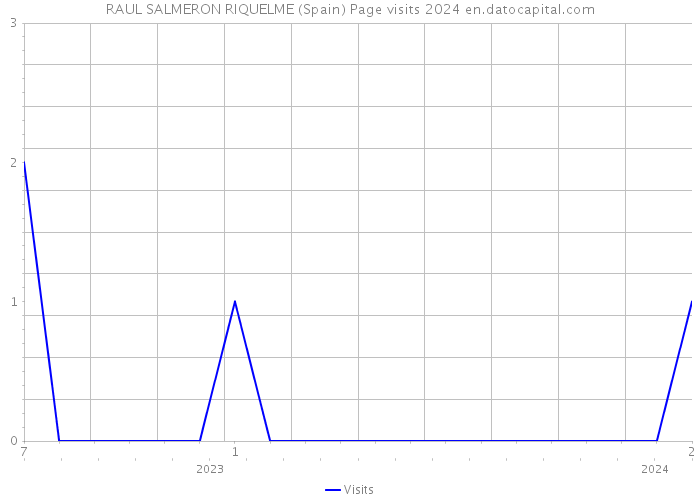 RAUL SALMERON RIQUELME (Spain) Page visits 2024 