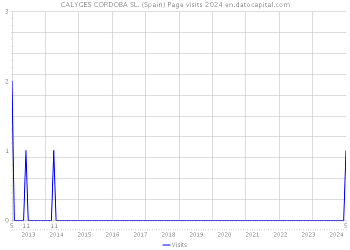 CALYGES CORDOBA SL. (Spain) Page visits 2024 