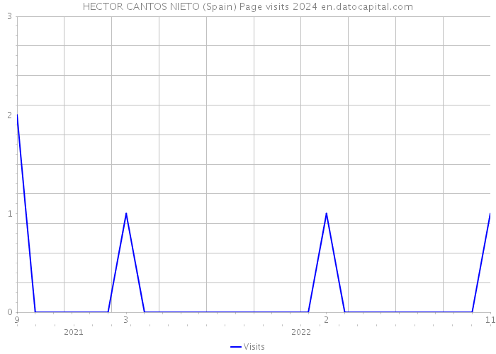 HECTOR CANTOS NIETO (Spain) Page visits 2024 