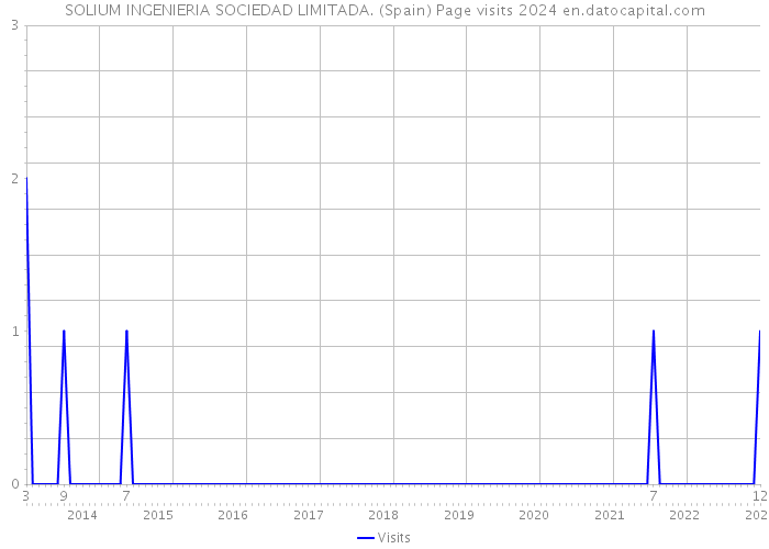 SOLIUM INGENIERIA SOCIEDAD LIMITADA. (Spain) Page visits 2024 
