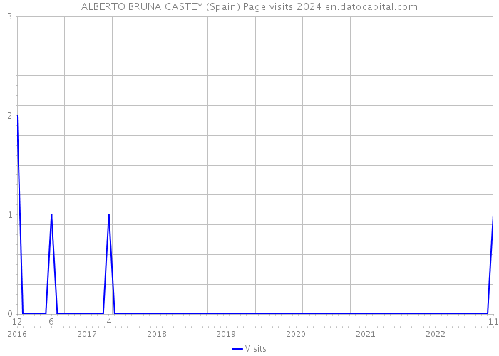 ALBERTO BRUNA CASTEY (Spain) Page visits 2024 