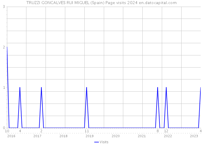 TRUZZI GONCALVES RUI MIGUEL (Spain) Page visits 2024 