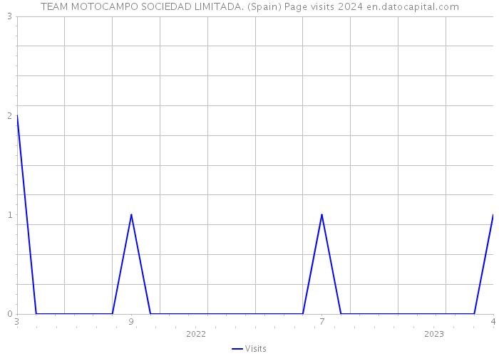 TEAM MOTOCAMPO SOCIEDAD LIMITADA. (Spain) Page visits 2024 