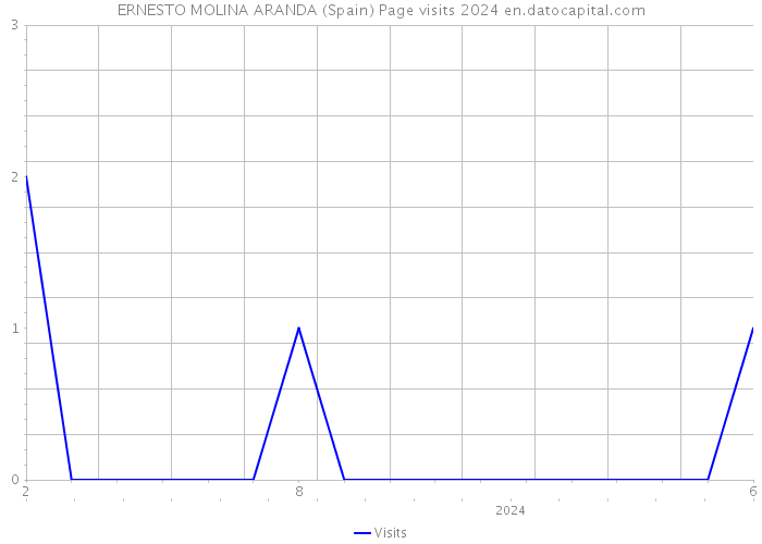 ERNESTO MOLINA ARANDA (Spain) Page visits 2024 
