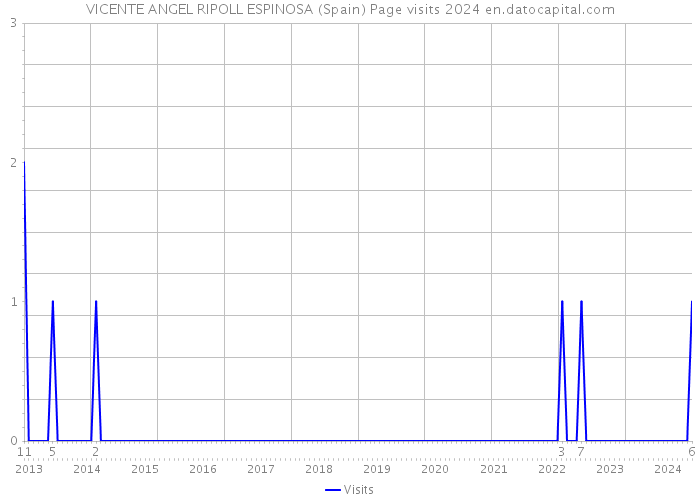 VICENTE ANGEL RIPOLL ESPINOSA (Spain) Page visits 2024 