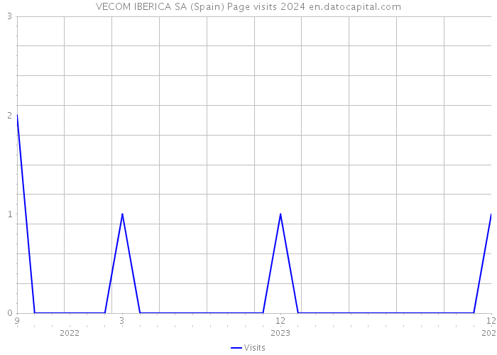 VECOM IBERICA SA (Spain) Page visits 2024 