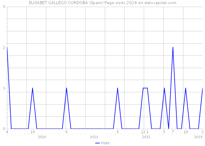 ELISABET GALLEGO CORDOBA (Spain) Page visits 2024 