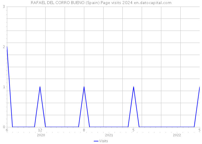 RAFAEL DEL CORRO BUENO (Spain) Page visits 2024 