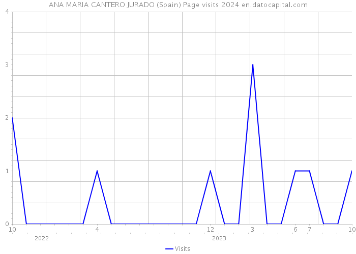 ANA MARIA CANTERO JURADO (Spain) Page visits 2024 