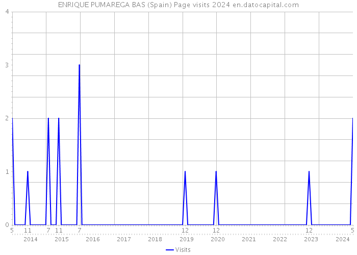 ENRIQUE PUMAREGA BAS (Spain) Page visits 2024 
