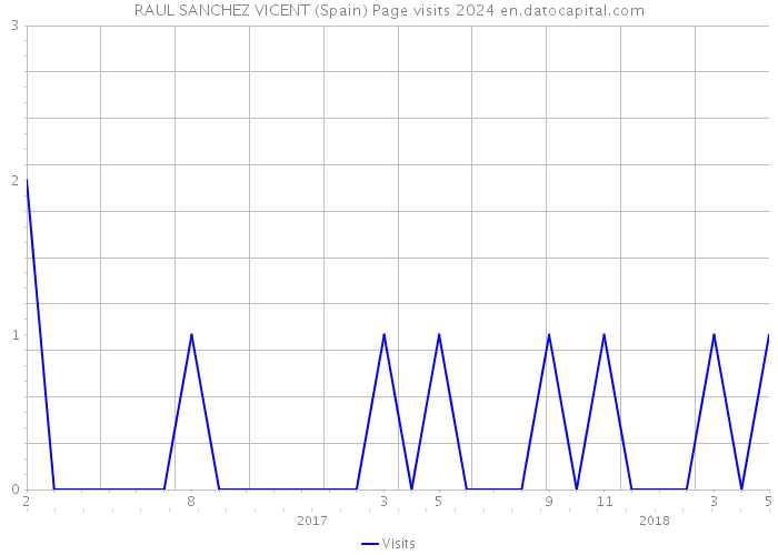 RAUL SANCHEZ VICENT (Spain) Page visits 2024 