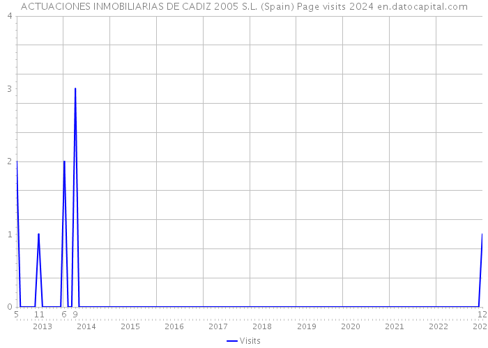 ACTUACIONES INMOBILIARIAS DE CADIZ 2005 S.L. (Spain) Page visits 2024 