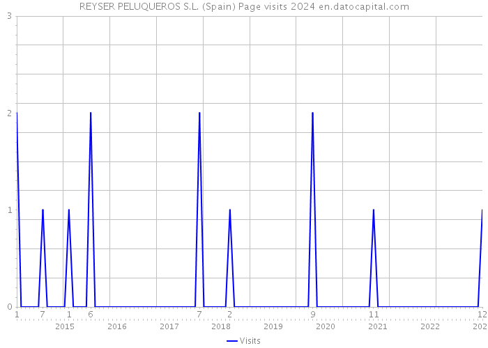REYSER PELUQUEROS S.L. (Spain) Page visits 2024 