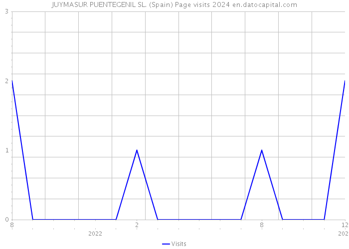 JUYMASUR PUENTEGENIL SL. (Spain) Page visits 2024 