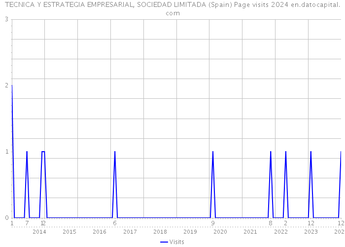 TECNICA Y ESTRATEGIA EMPRESARIAL, SOCIEDAD LIMITADA (Spain) Page visits 2024 