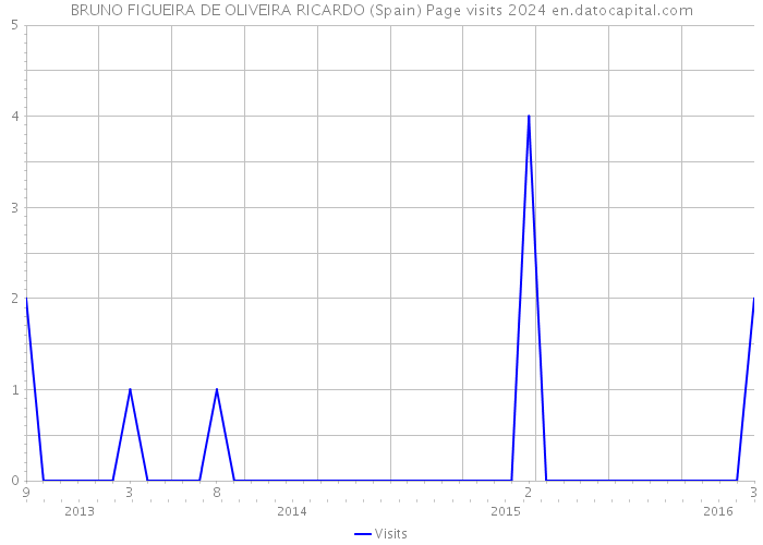 BRUNO FIGUEIRA DE OLIVEIRA RICARDO (Spain) Page visits 2024 