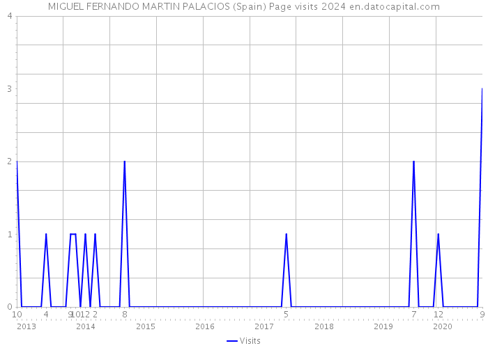 MIGUEL FERNANDO MARTIN PALACIOS (Spain) Page visits 2024 