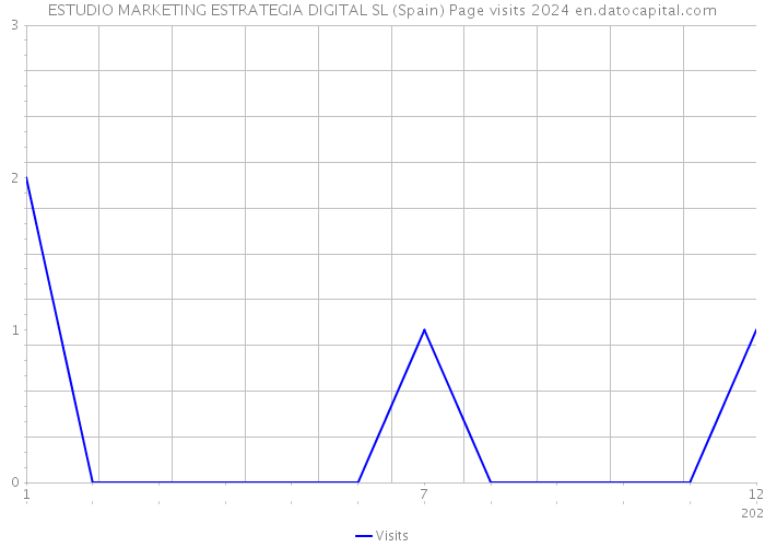 ESTUDIO MARKETING ESTRATEGIA DIGITAL SL (Spain) Page visits 2024 