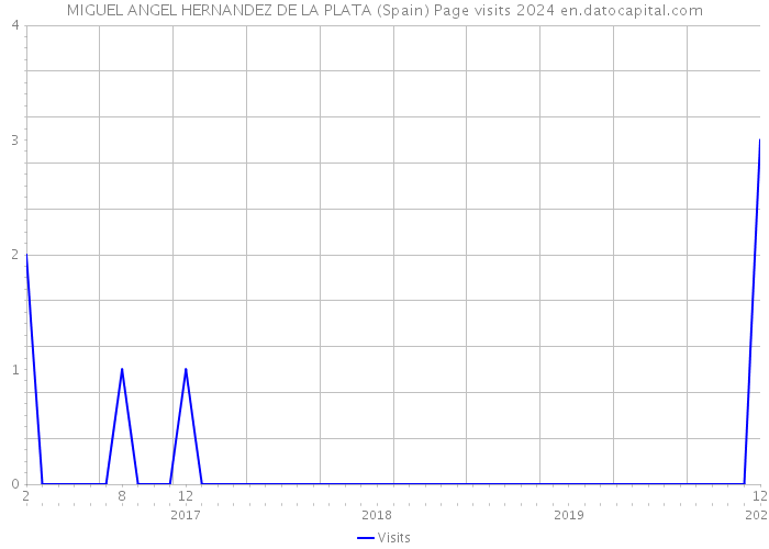 MIGUEL ANGEL HERNANDEZ DE LA PLATA (Spain) Page visits 2024 